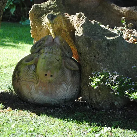 Babsy Con Piscina Privata *