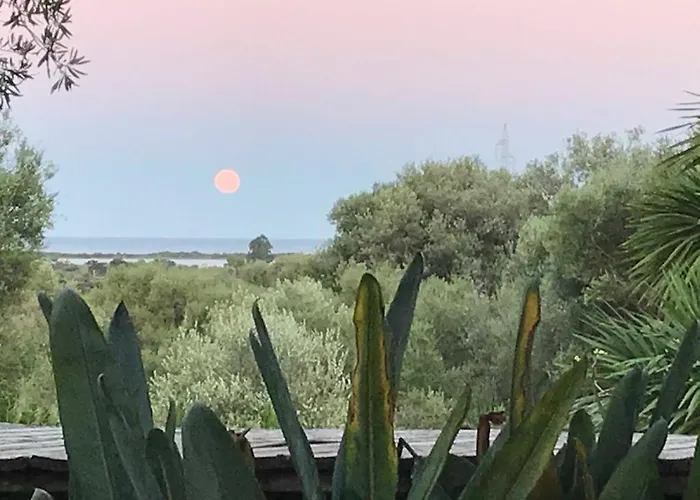 Babsy Con Piscina Privata * San Teodoro (Sardinia)